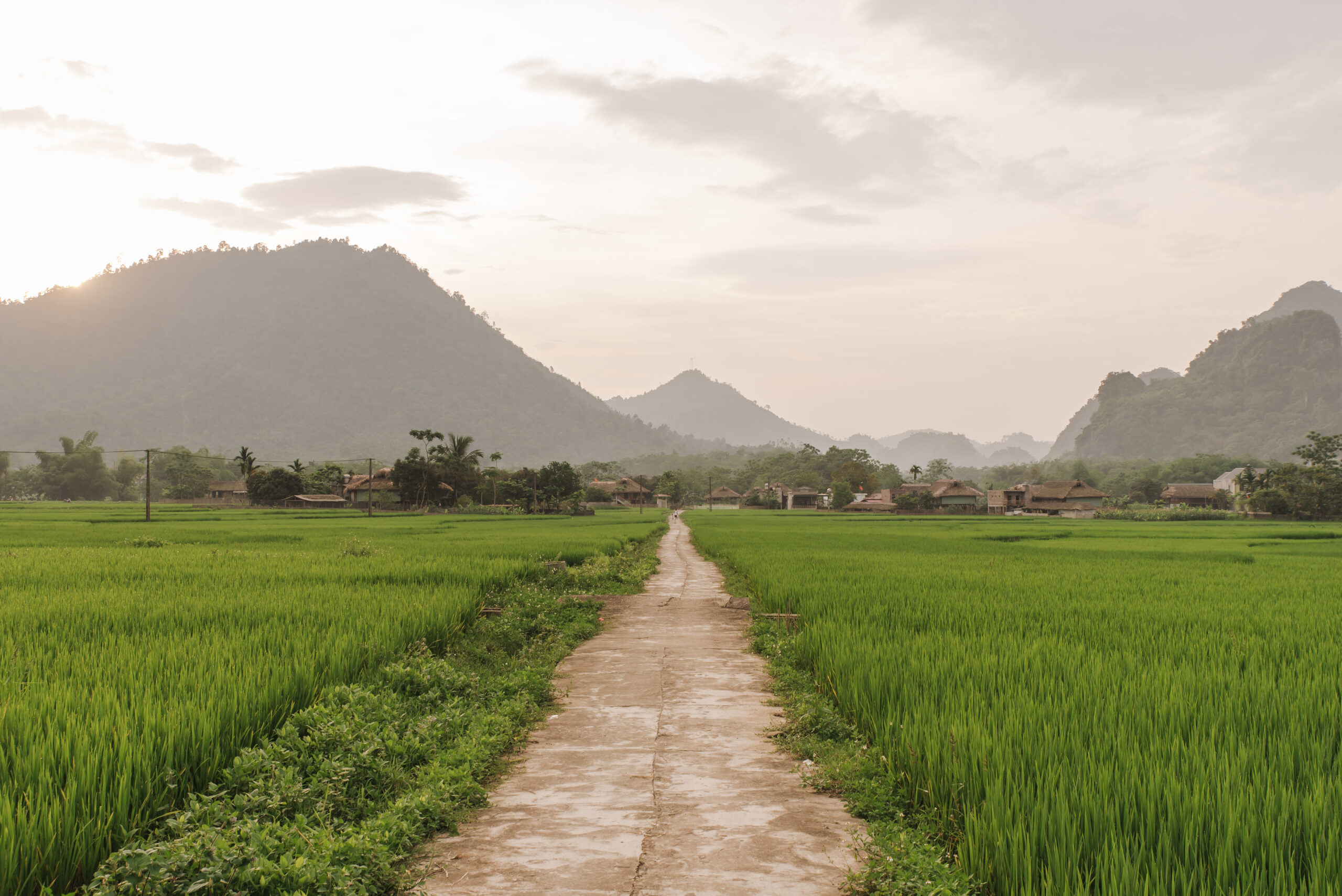 A narrow pathway in a field on background of a village