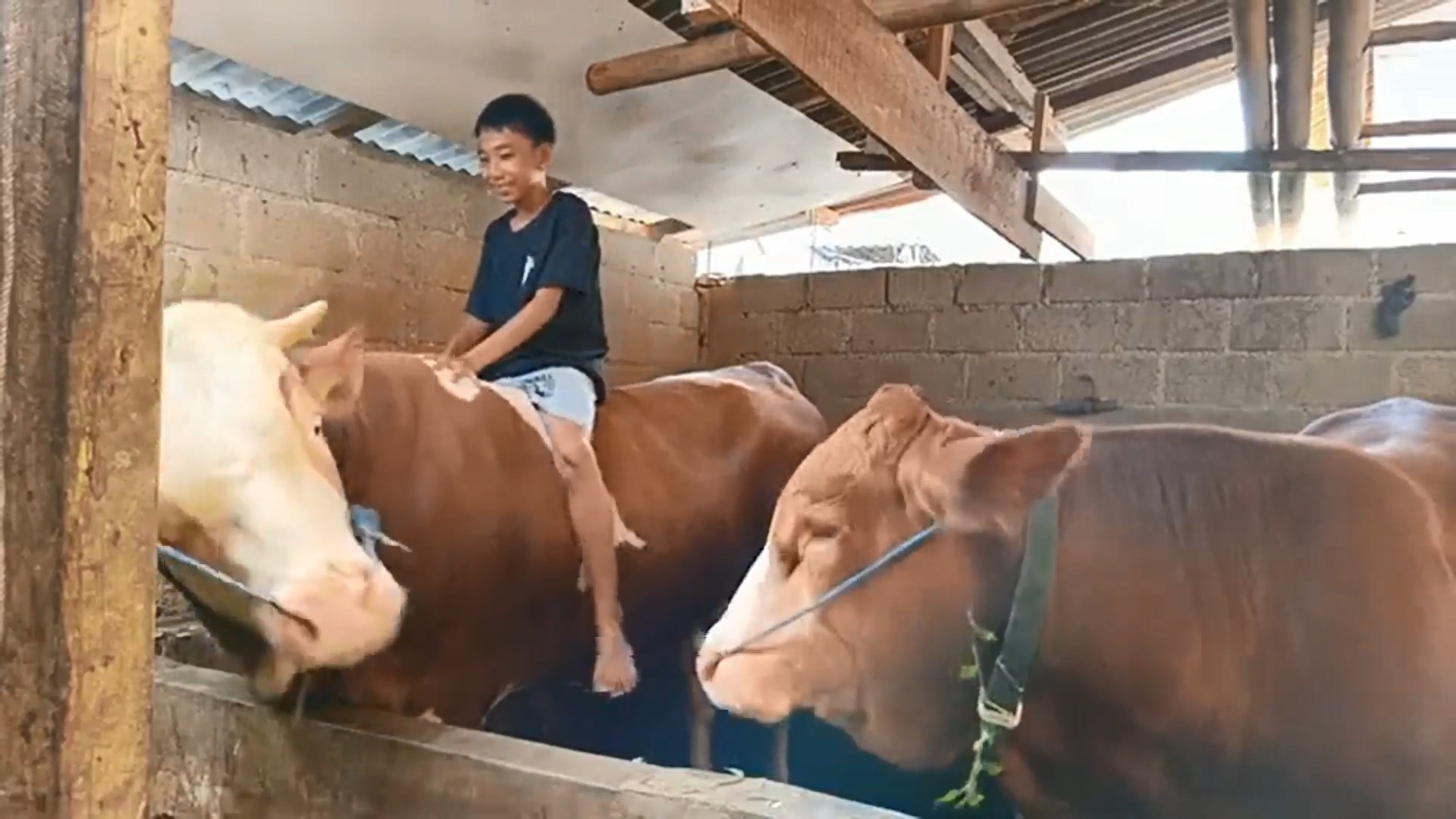 PROFIL DESA JLUMPANG (1).mp4_snapshot_03.42.498